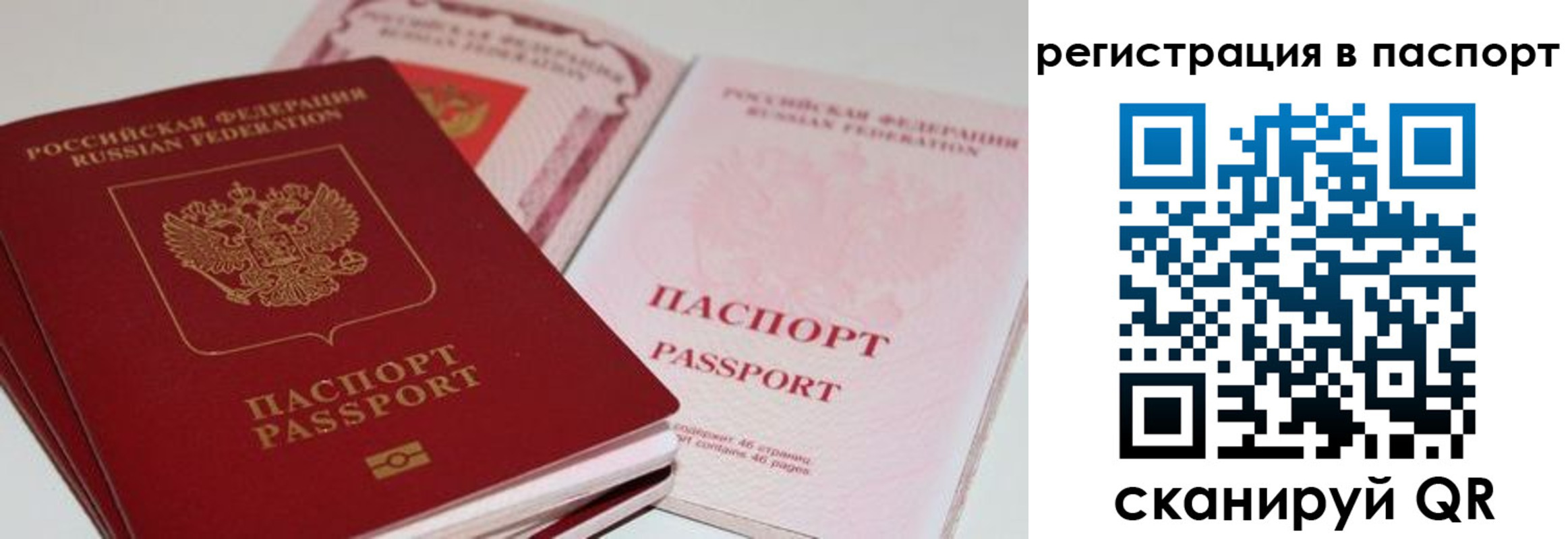 найти адрес прописки в Медногорске